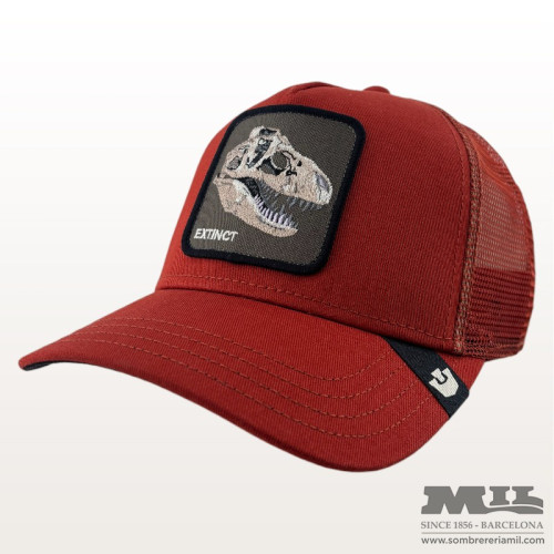 Gorra Extinct Skull |...