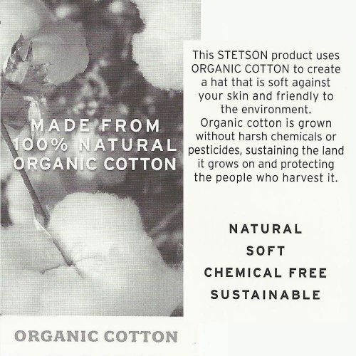 Organic hat Stetson