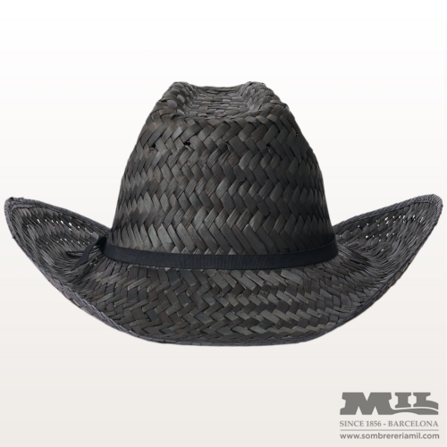 Sombrero Houston Cowboy |...