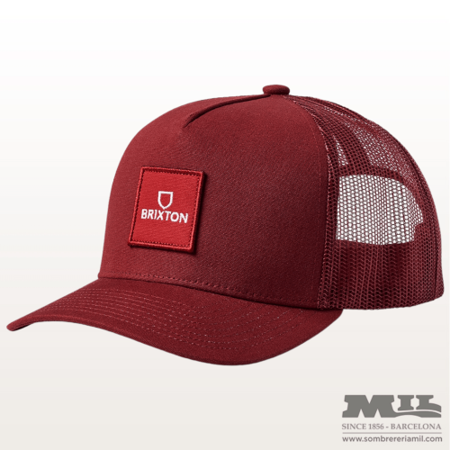 Alpha Block Brixton cap