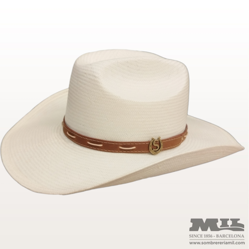 Western Horseshoe Stetson Hat