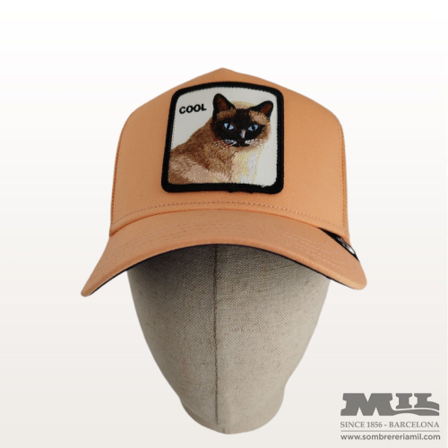 Gorra Cool Cat de Goorin