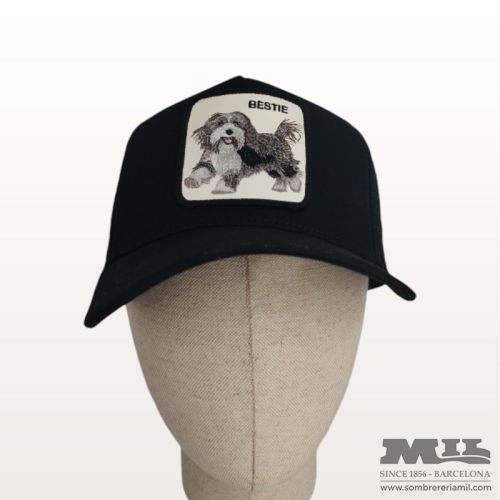 Gorra Bestie Dog de Goorin