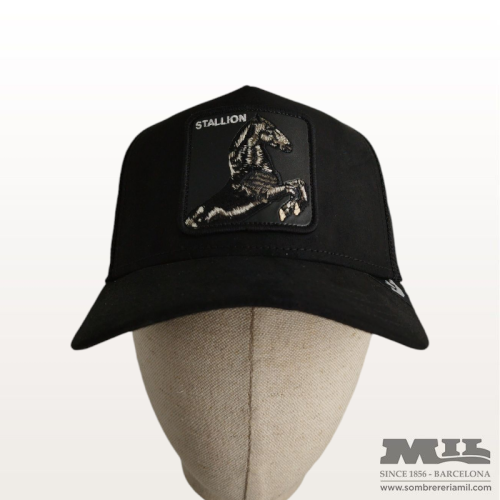 Gorra Suede Stallion de Goorin