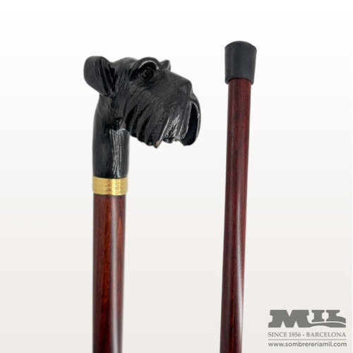 Black Scottish terrier Cane...